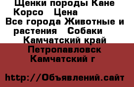 Щенки породы Кане-Корсо › Цена ­ 25 000 - Все города Животные и растения » Собаки   . Камчатский край,Петропавловск-Камчатский г.